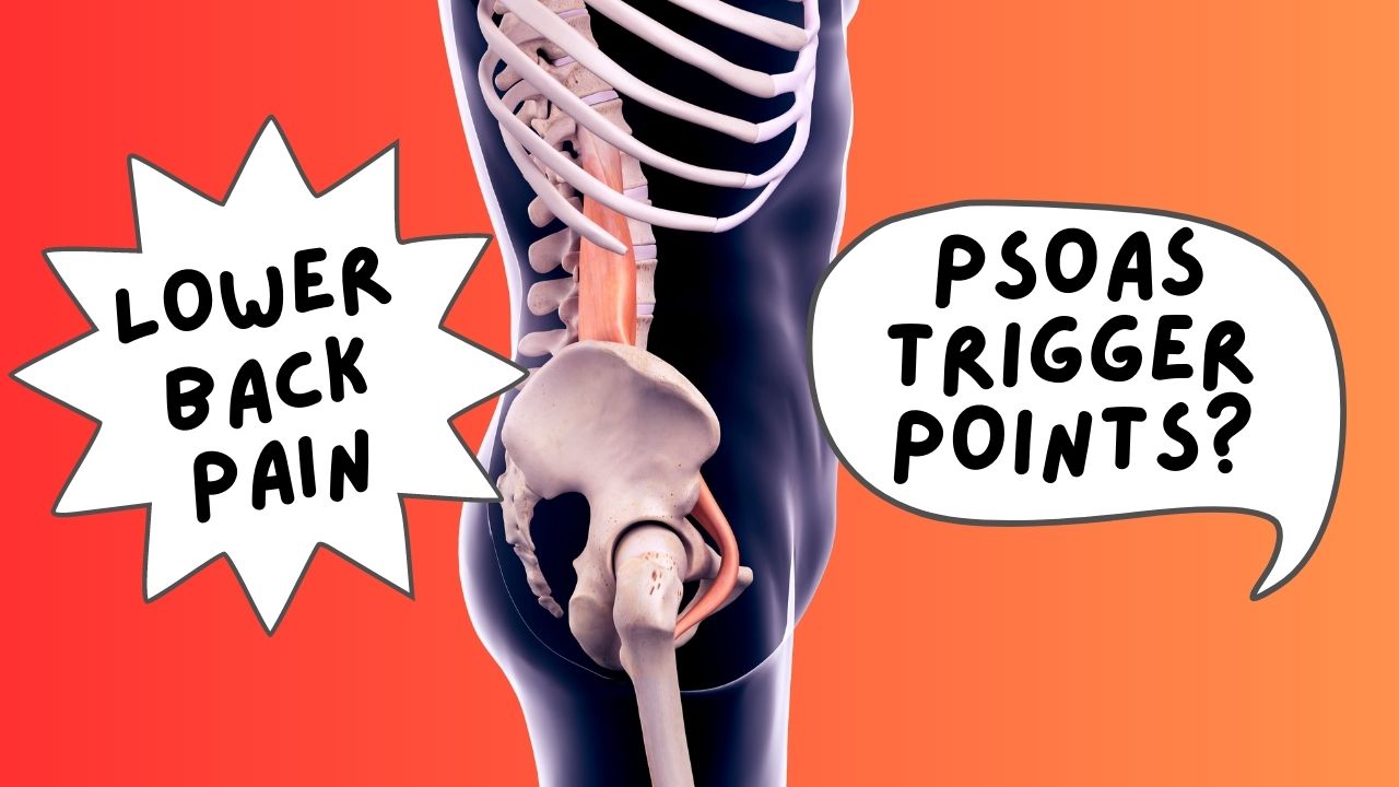 The Psoas Muscle and Back Pain: Understanding the Connection
