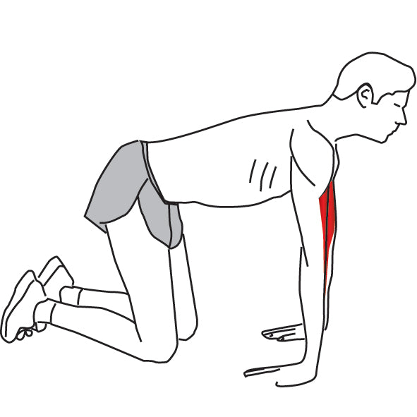 Kneeling Forearm Stretch