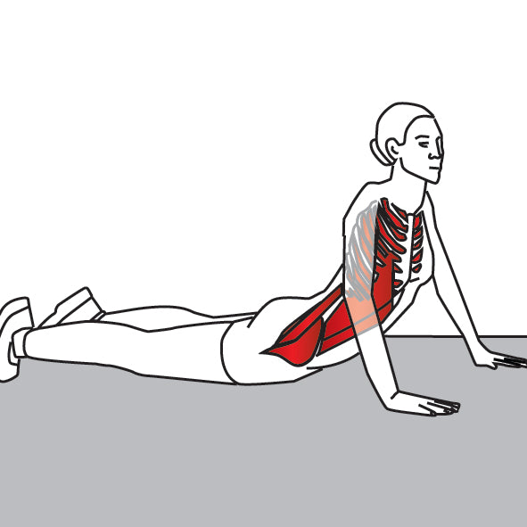 Rising Stomach Stretch
