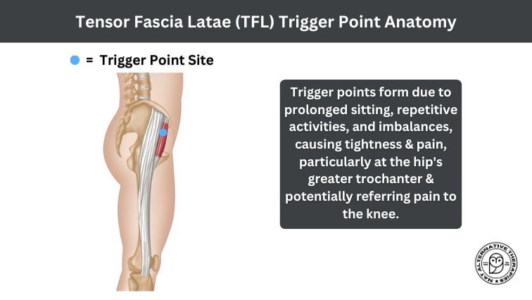 Unlocking Hip Mobility | Soft Tissue Therapy for TFL Restrictions