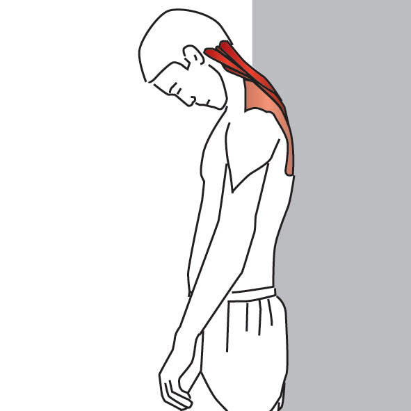 Forward Flexion Neck Stretch