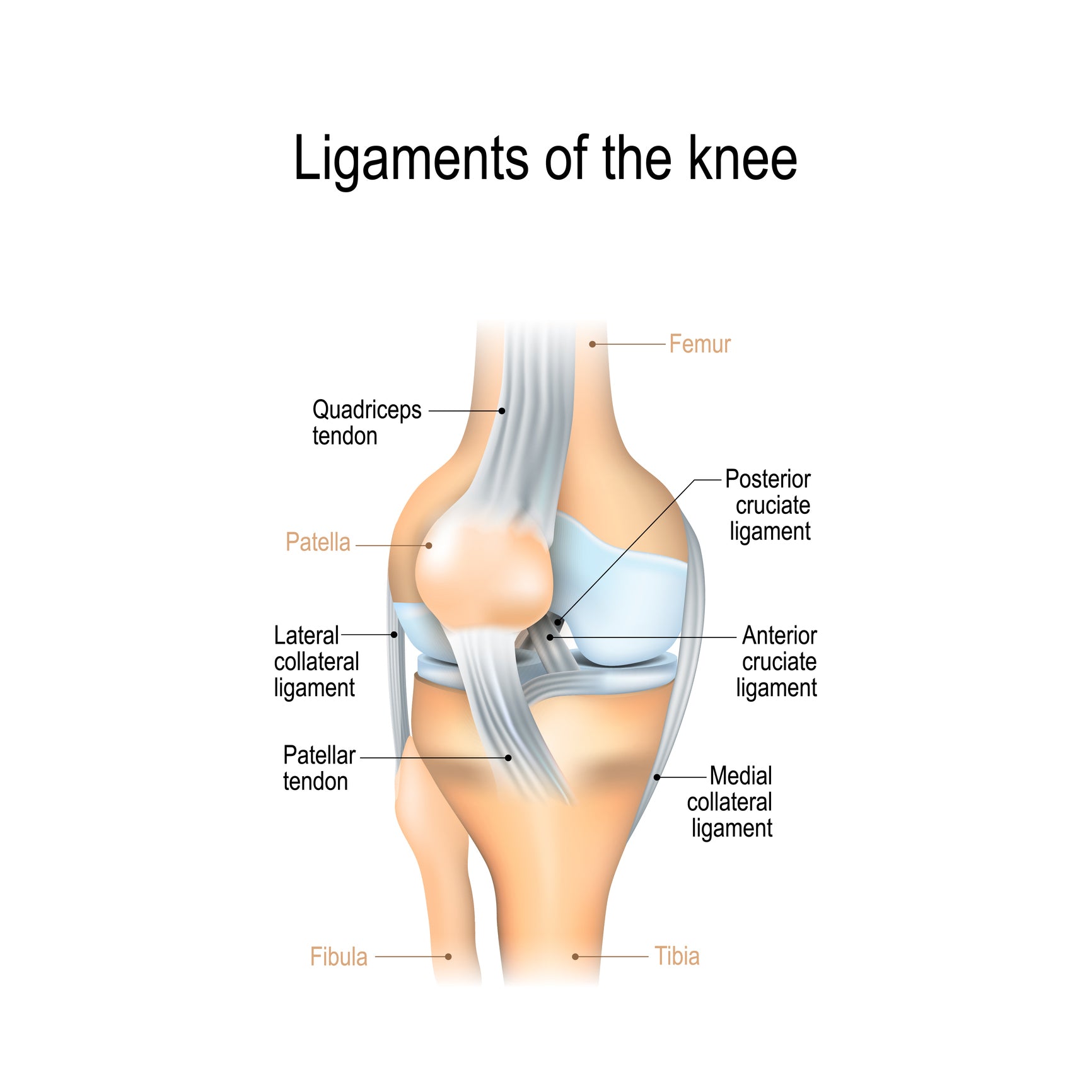 Anterior Knee Pain - Causes, Prevention and Treatment