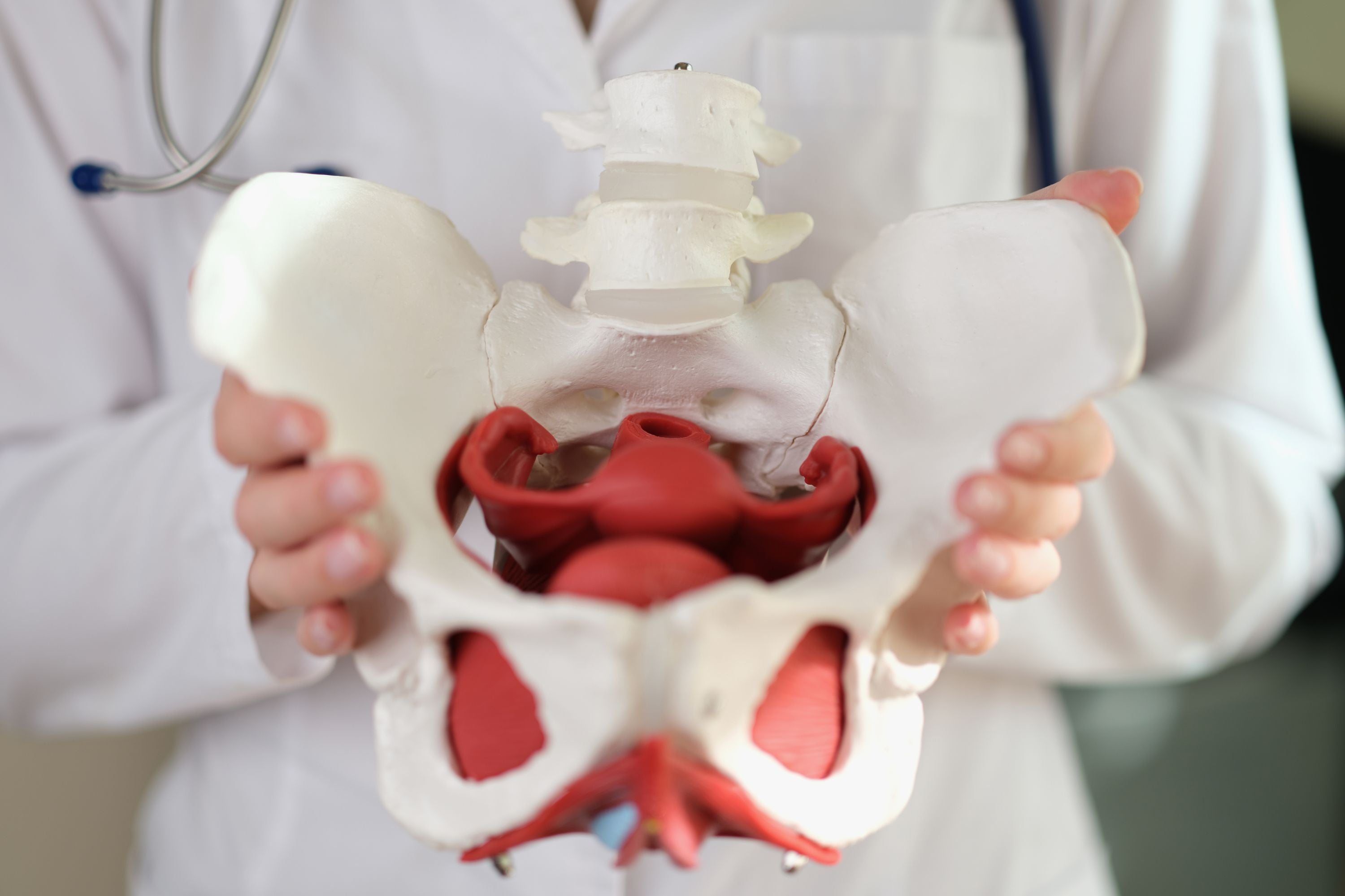 Pelvic Pain and Levator Ani syndrome explained