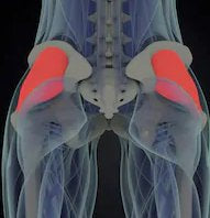 Trigger Point Therapy - Treating Gluteus Medius and Minimus