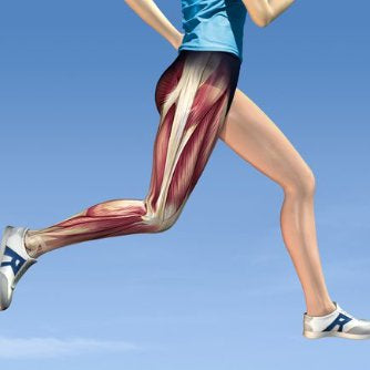 Sports Massage for the Hip - Part 3