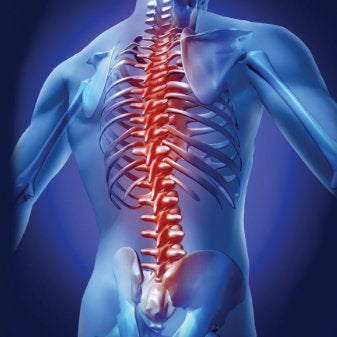 Stretching for the Trunk and Spine