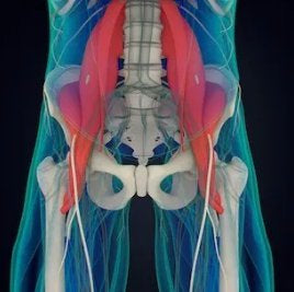 Treating Trigger Points - Iliopsoas