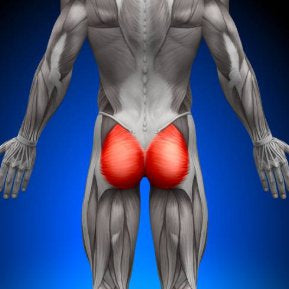 Trigger Point Therapy - Treating the Gluteus Maximus