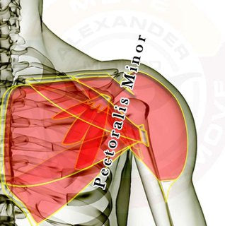 Awesome Techniques - Pectoralis Minor Release