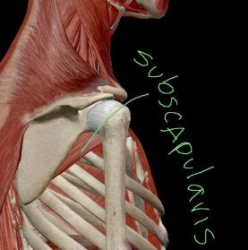 Muscle Energy Techniques - Treating Subscapularis