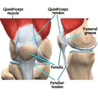 Trigger Point Therapy - Quadriceps Tendinitis