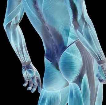 Stretching for Pain Relief and Rehabilitation - Hip and Thigh