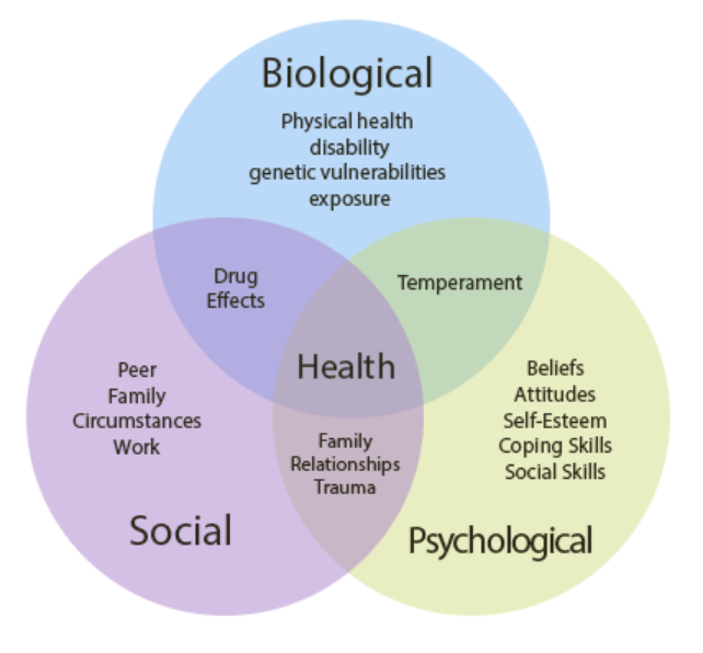 The Biopsychosocial Model - Assessment and Treatment