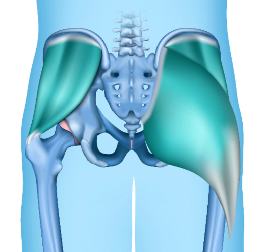 Gluteus Muscle Strains