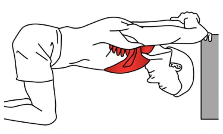 Movement and Rehabilitation - 5 Great Shoulder Stretches