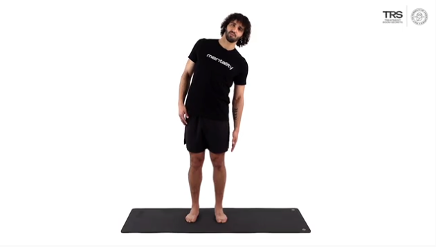 Standing Lateral Side Stretch