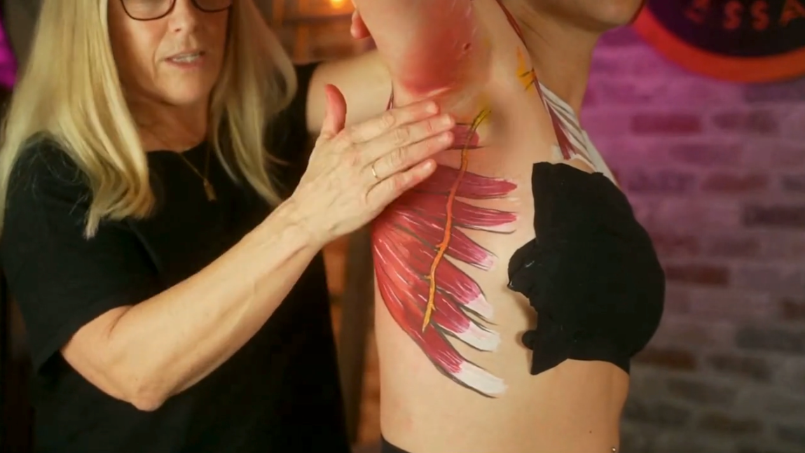 Serratus Anterior Anatomy