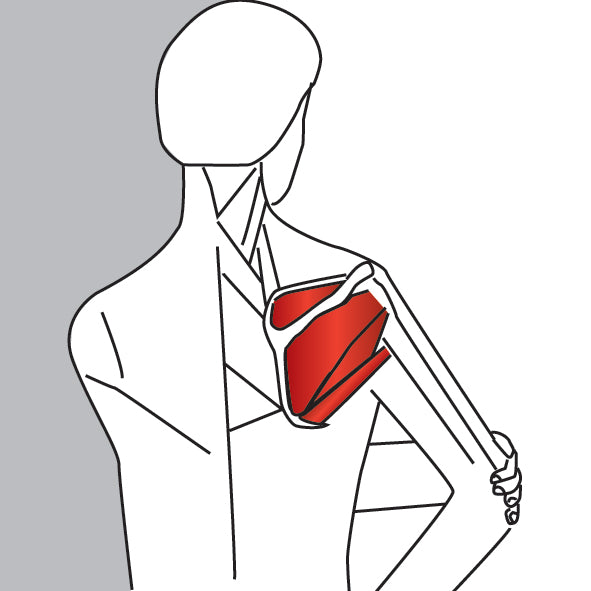 Elbow Out Rotator Stretch