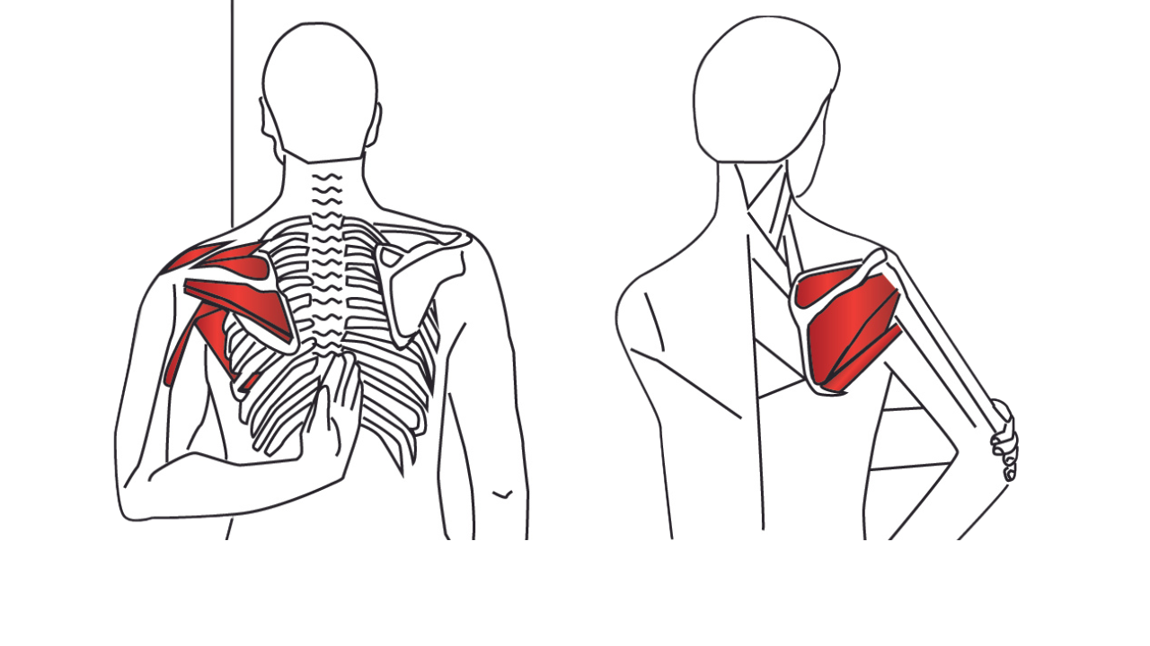 Stretching for Supraspinatus
