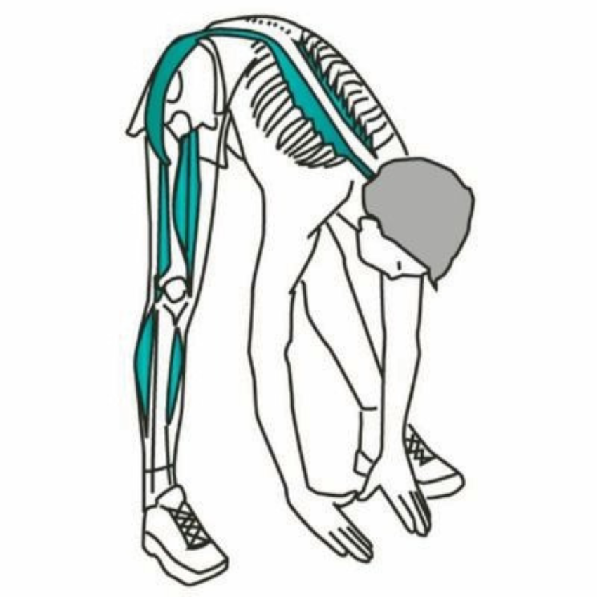 Common Sports Injuries - Treating the Hamstrings