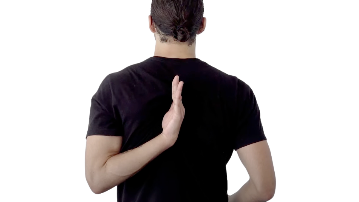 Top 6 Neck and Shoulder Stretches