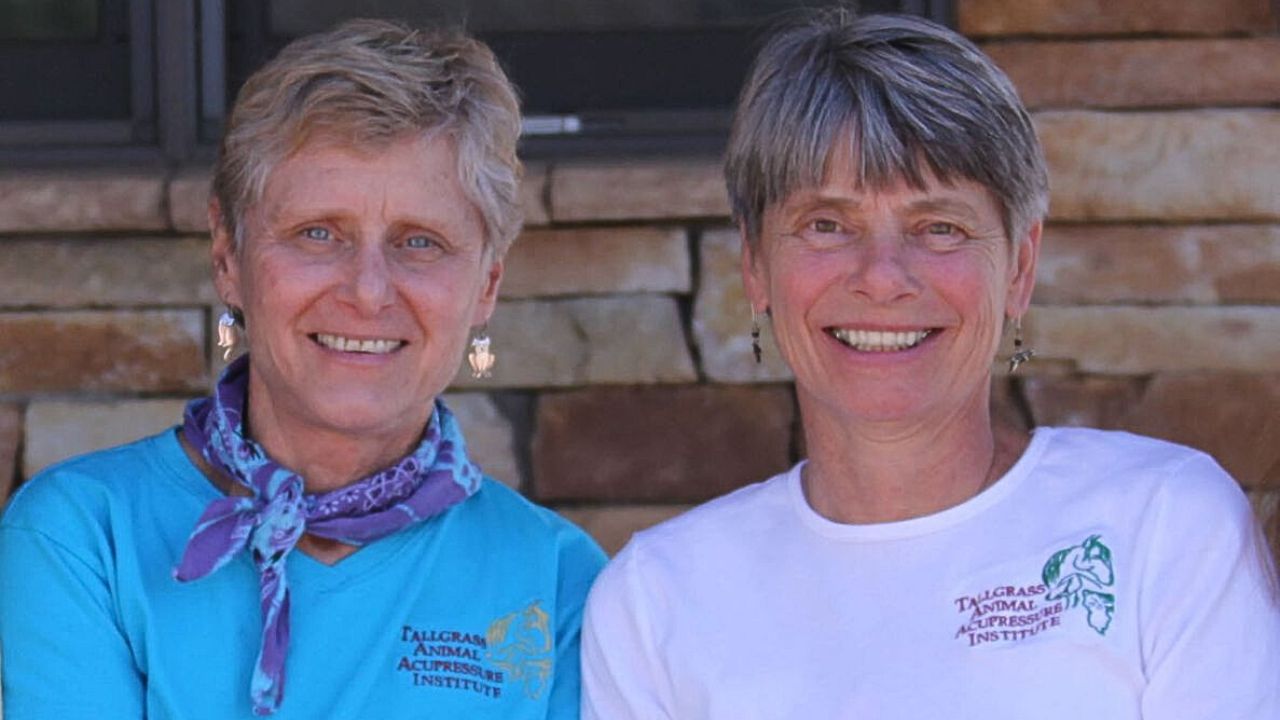 Nancy Zidoni and Amy Snow Equine Acupressure