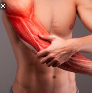 Trigger Point Therapy - Medial Elbow Pain