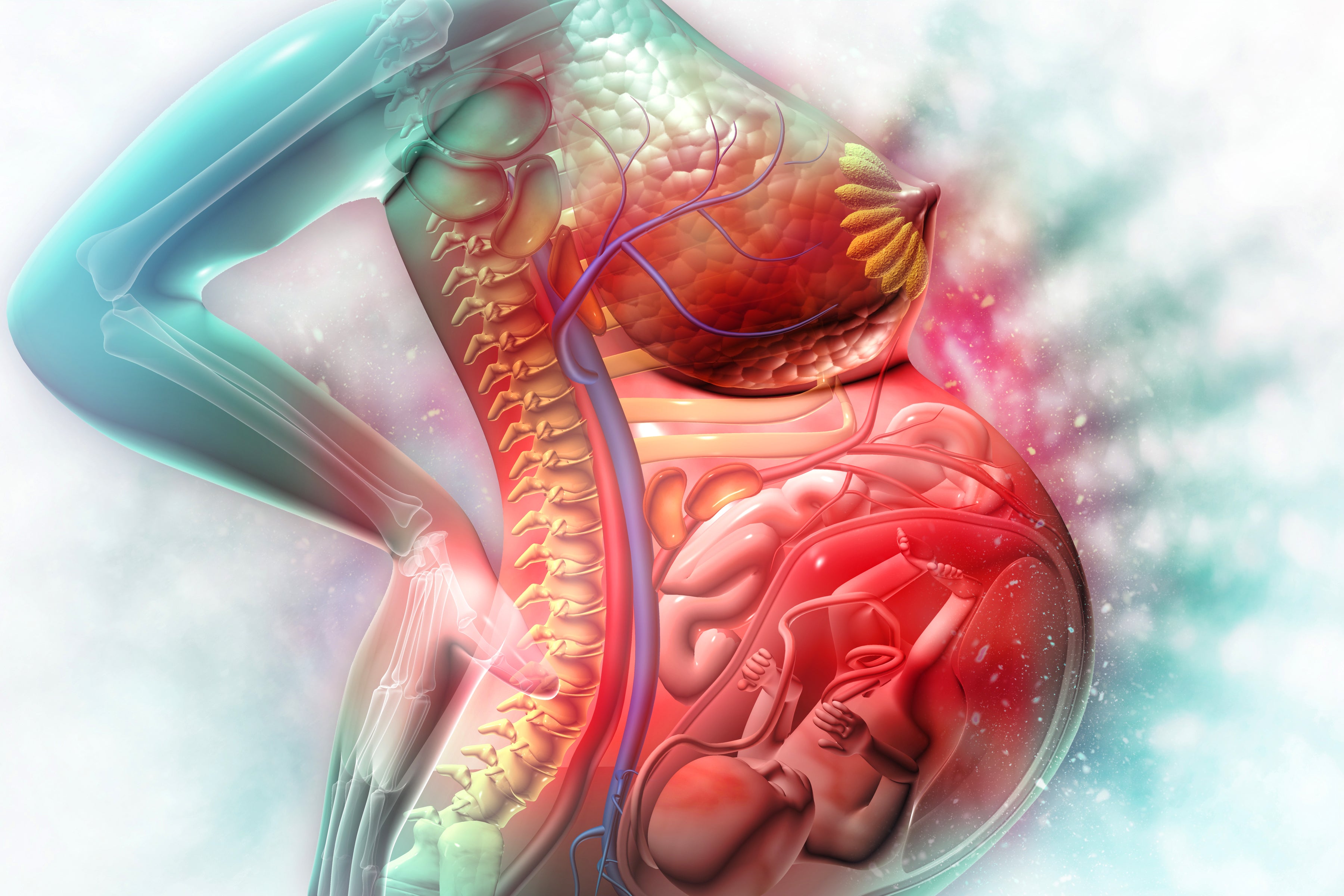 Pregnancy - Massage for the Upper Body