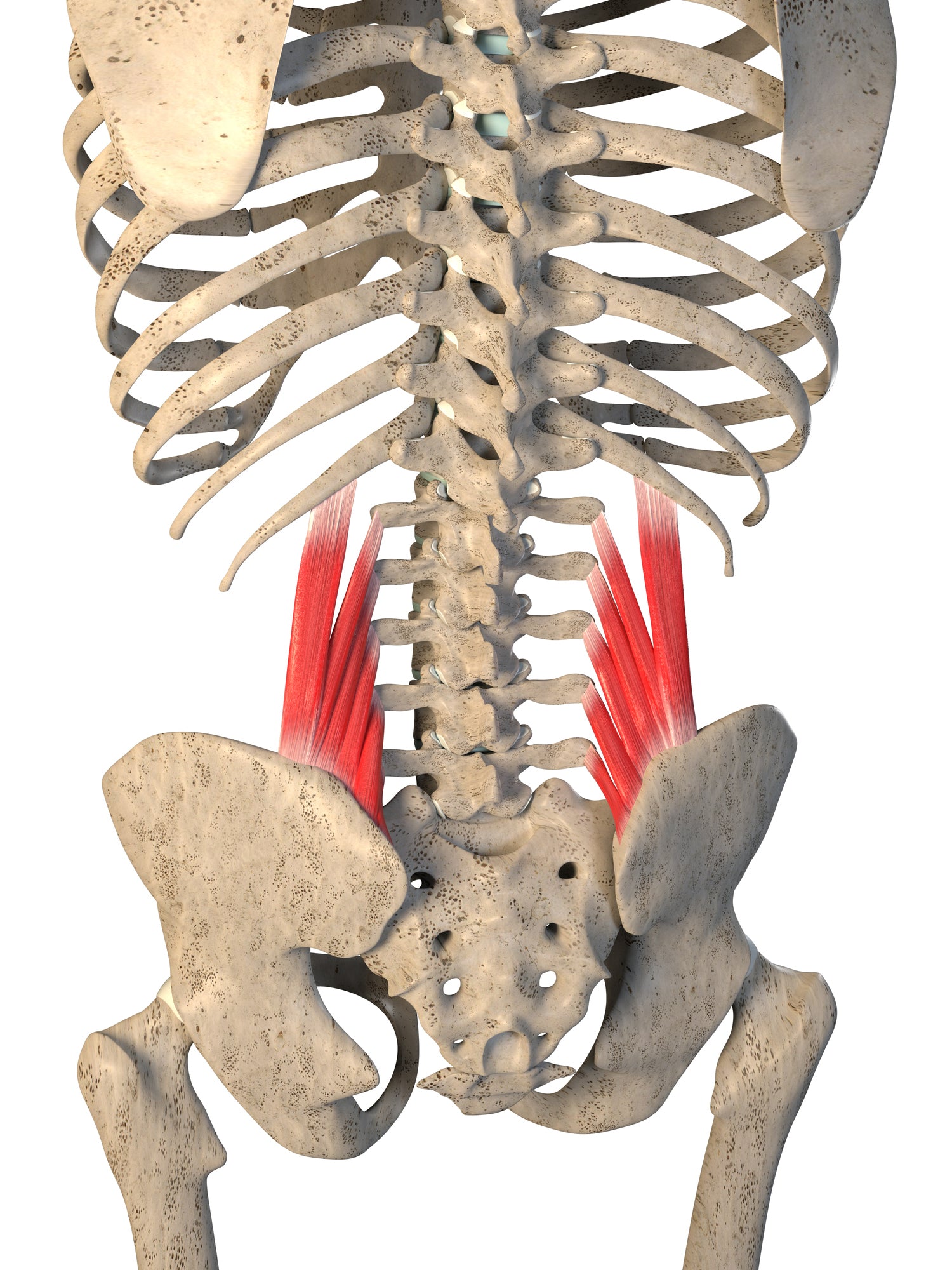 Treating Trigger Points in the Quadratus Lumborum