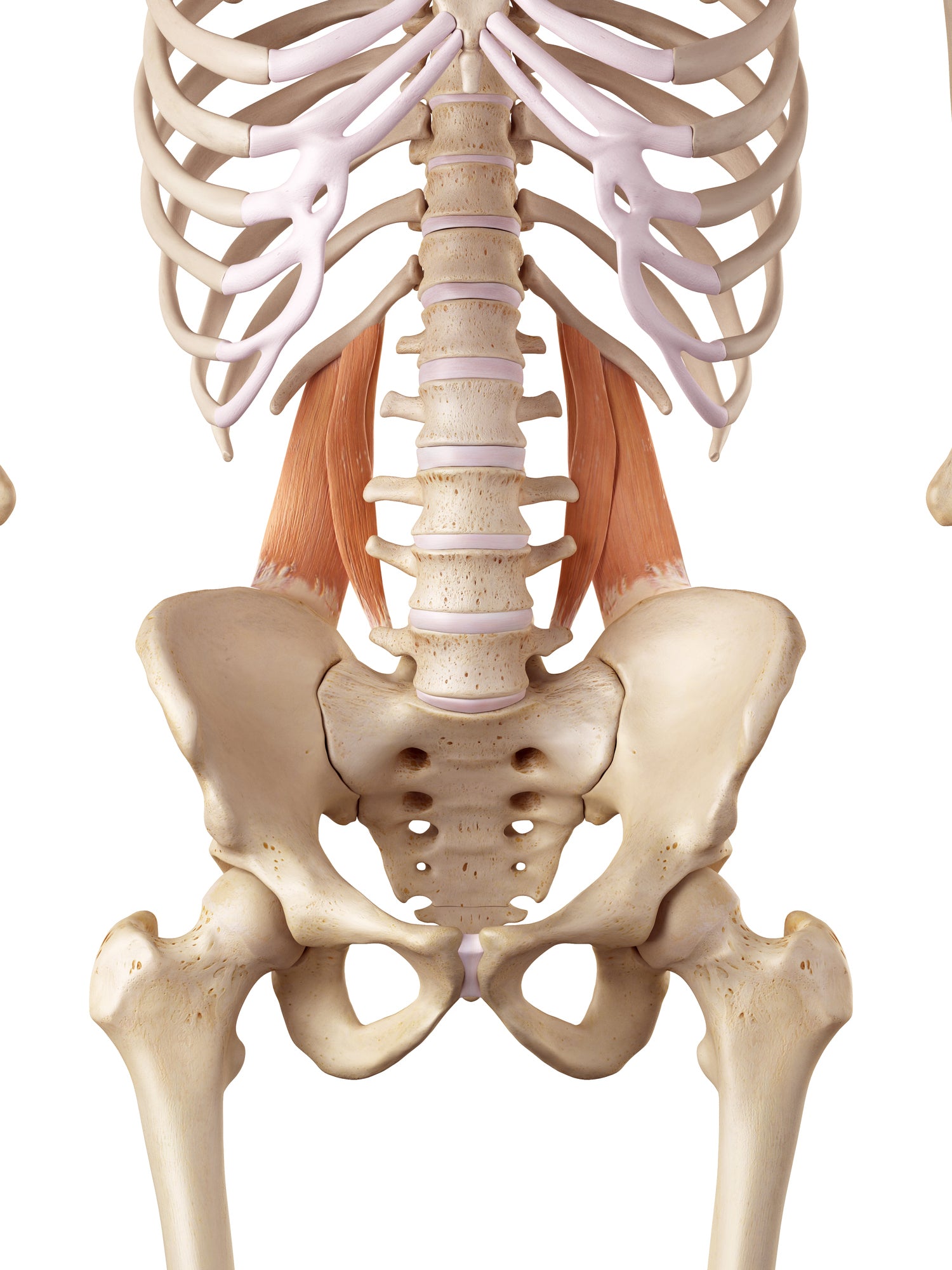 Treating the Quadratus Lumborum