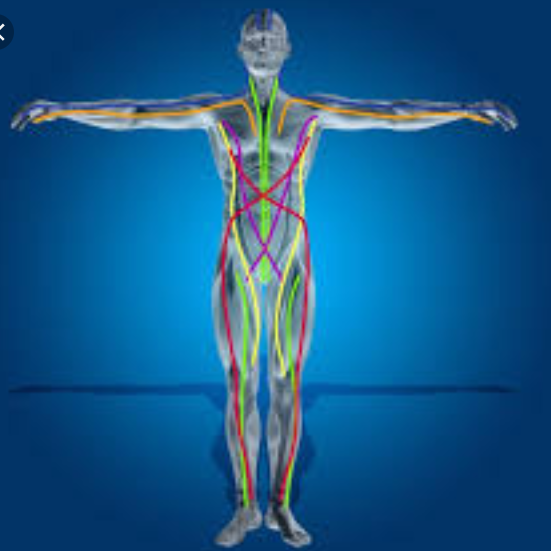 Trigger Point Therapy - Myofascial Meridians