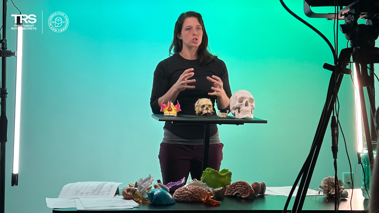 Cranio Sacral Therapy Courses Released in Spring 2024 Line Up