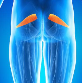 Trigger Point Therapy - Treating Piriformis