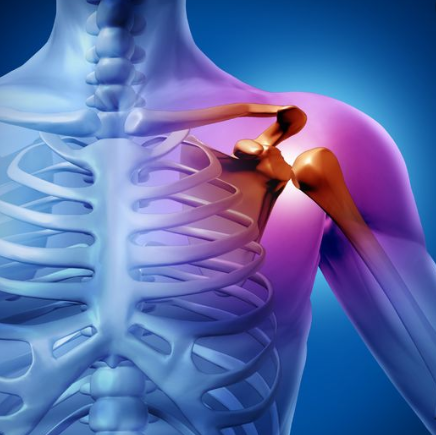Treating the Rotator Cuff - Myofascial / Soft Tissue Release (STR) Techniques