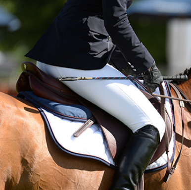 Saddle Pain and Trigger Points