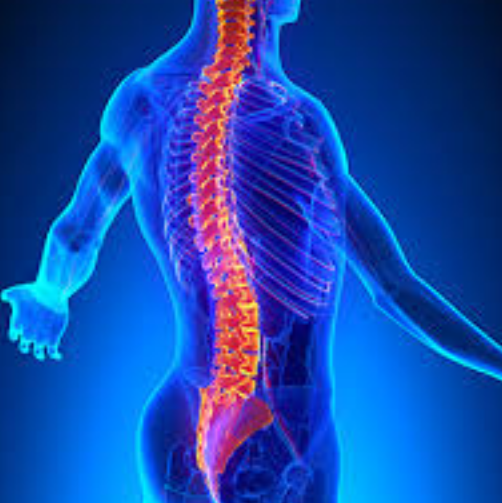 Trigger Point Therapy - Treating Spondylolisthesis