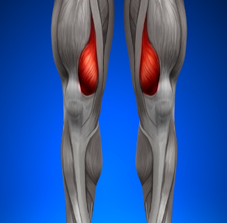 The Unique Trigger Point - Vastus Medialis