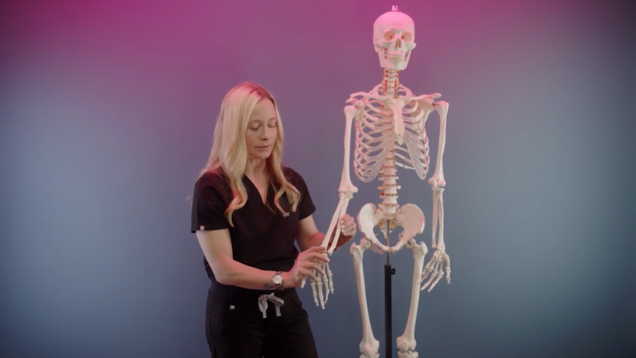 Yoga Anatomy, Physiology, and Biomechanics (7 hrs)