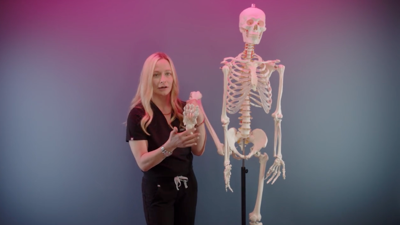 Yoga Anatomy, Physiology, and Biomechanics (7 hrs)