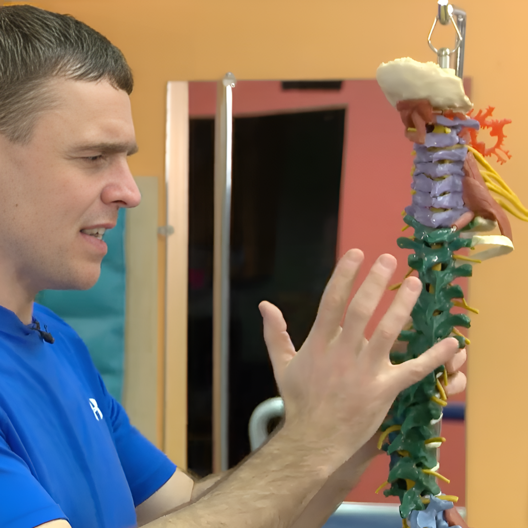 Thoracic Spine Mobility (3 hrs)