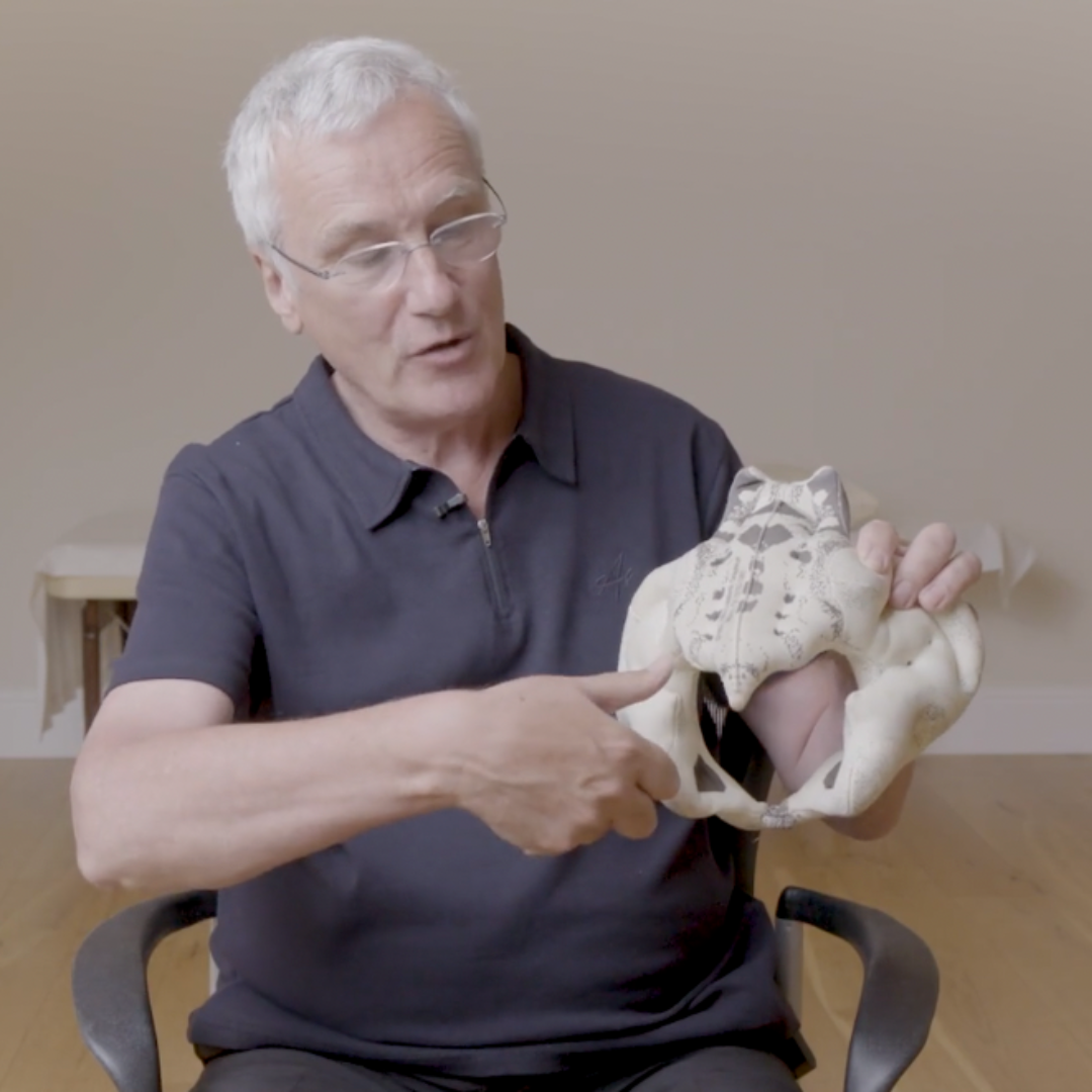 Bowen Basics - NAT Foundation Course (10 hrs)