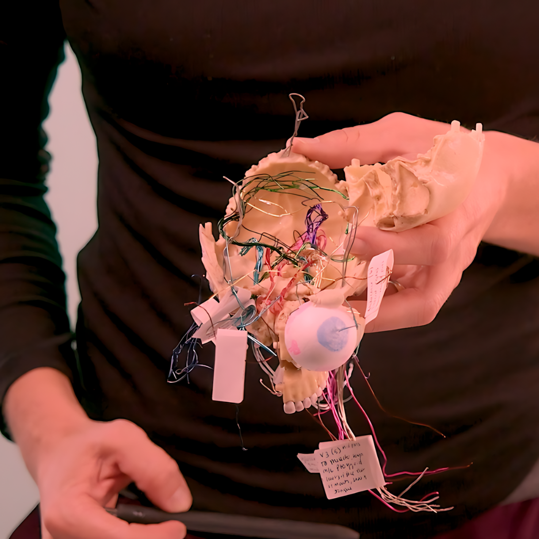 Cranio Sacral Therapy Online Course