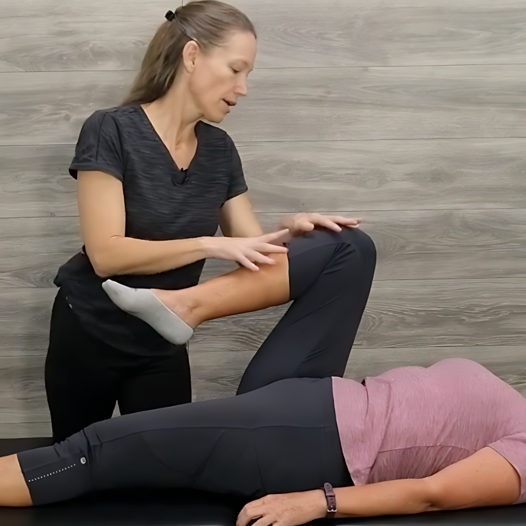 The Gluteal Muscles Online Course