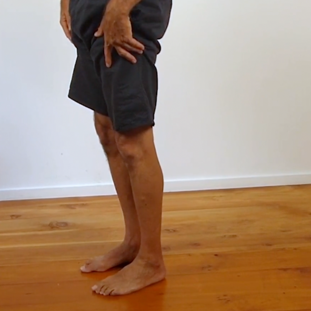 Understanding and Evaluating Posture (7 hrs)