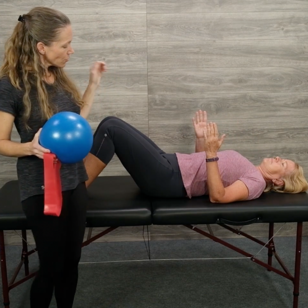 The Gluteal Muscles Online Course