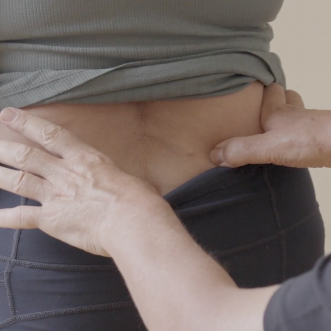 Bowen Basics - NAT Foundation Course (10 hrs)