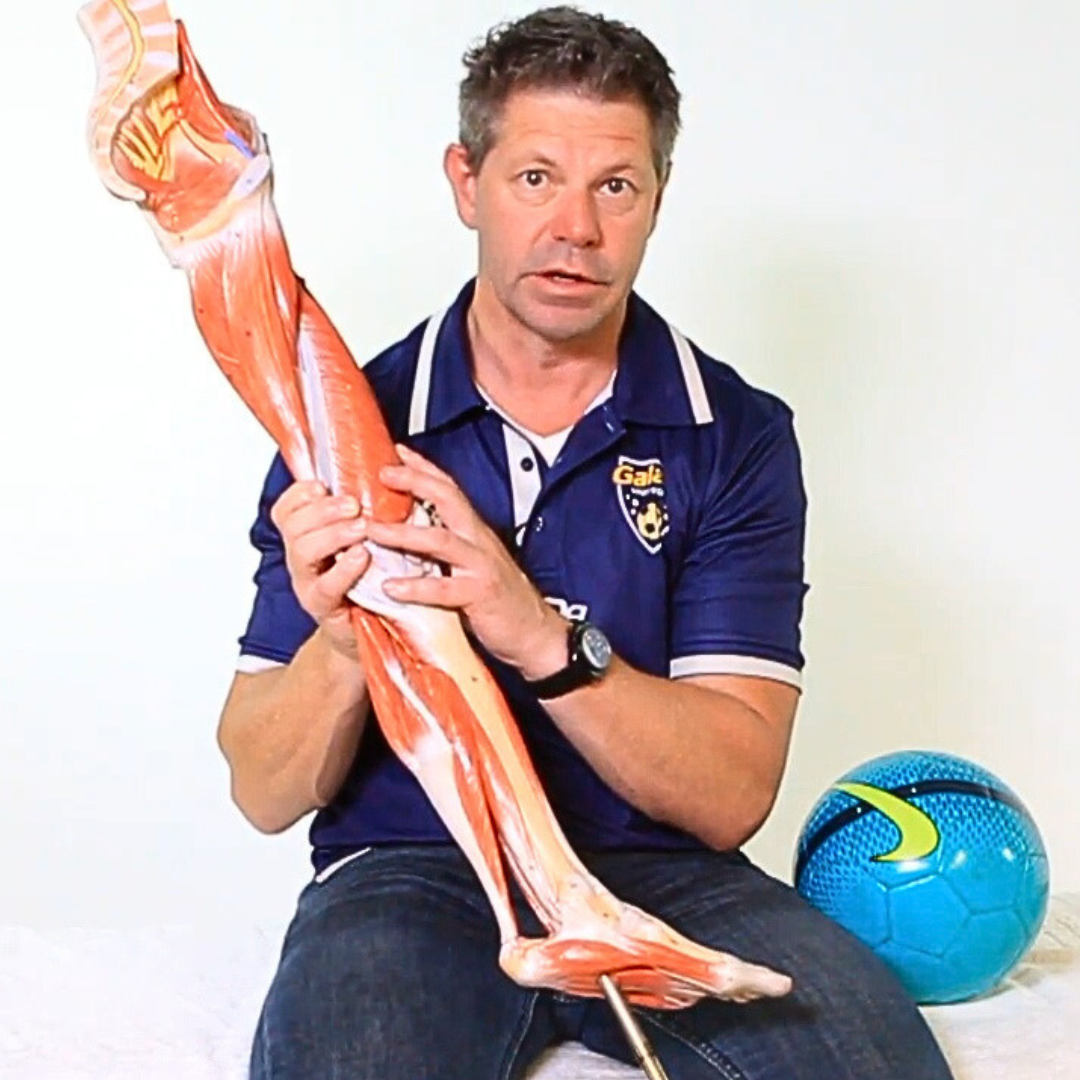 Soccer Specifics: Injuries and Treatment (3 hrs)