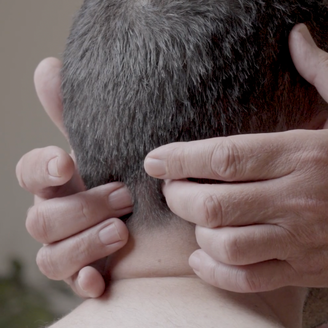 Bowen Advanced - NAT Certification Course (7 hrs)