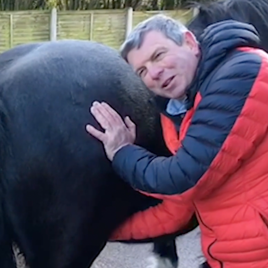 Trigger Point Therapy for Horses - NAT Certification Course (4 hrs)