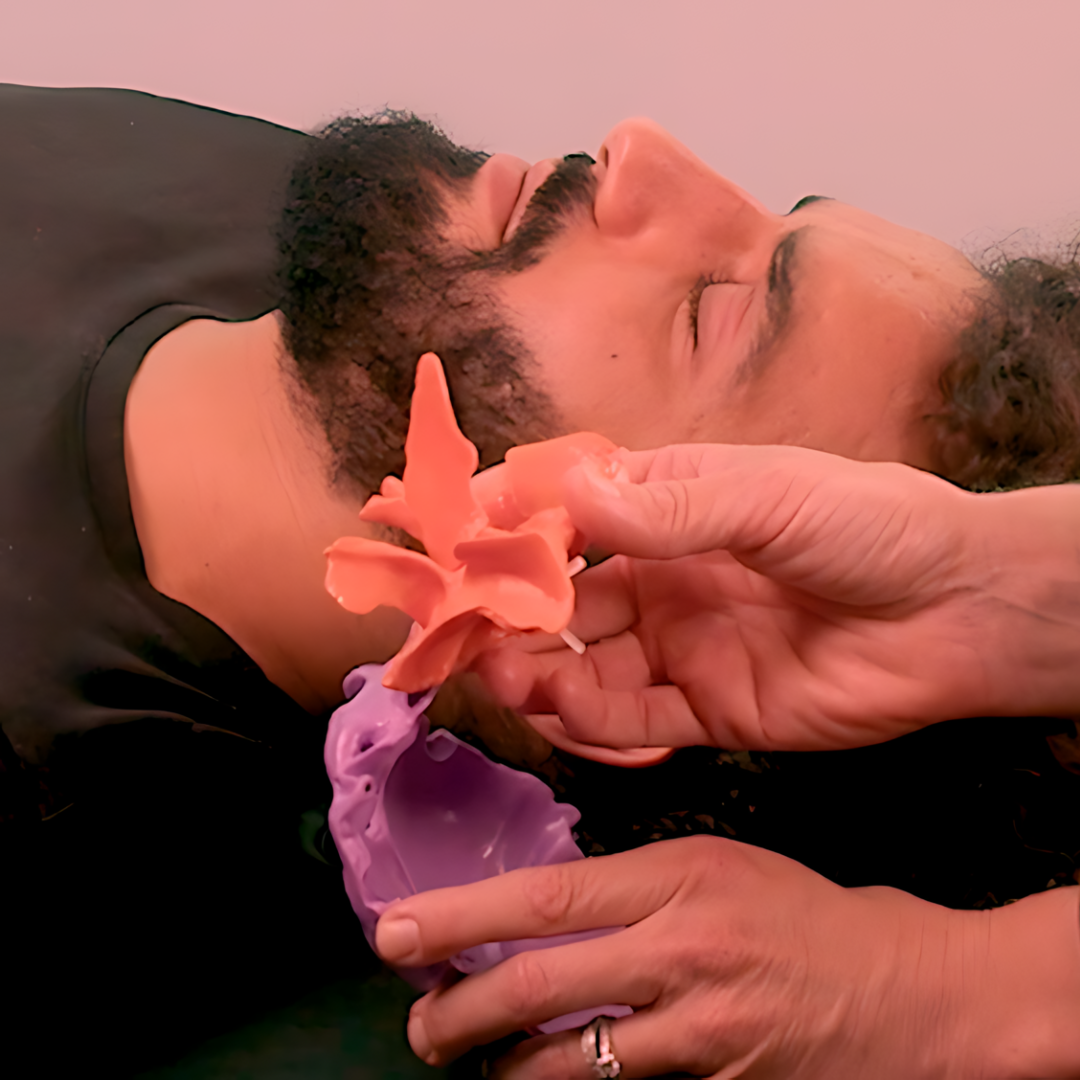 Cranio Sacral Therapy Online Course